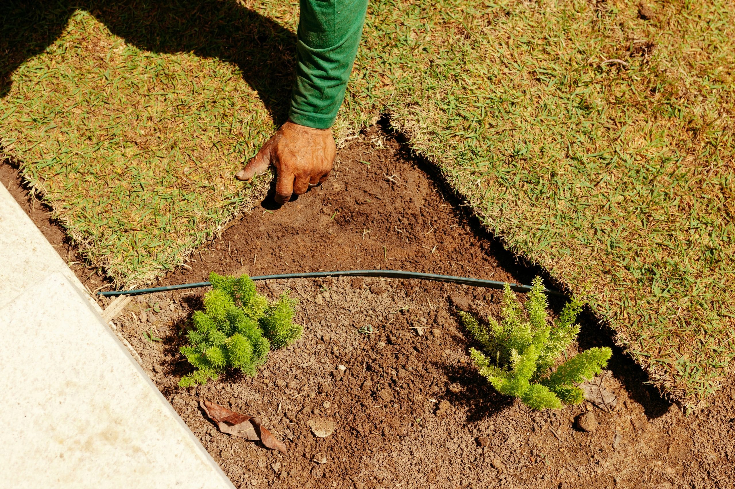 ferdigplen som legges i hagen